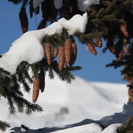 Chalet-hotel Le Beausoleil, The Originals Relais