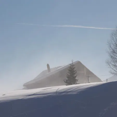 Chalet-hotel Le Beausoleil, The Originals Relais ホテル 3*