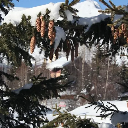 Chalet-hotel Le Beausoleil, The Originals Relais Отель Fontcouverte-la-Toussuire